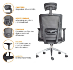 office chair, office chairs, ergonomic office chair, ergonomic chair, executive office chair, executive chair, highback office chair, high back office chair, mid back office chair, low back office chair, mesh office chair, mesh chair, leather office chair, office leather chair, swivel office chair, adjustable office chair, comfortable office chair, professional office chair, modern office chair, stylish office chair, computer office chair, desk chair, computer chair, work chair, task chair, staff office chair, manager office chair, director office chair, executive leather chair, ergonomic computer chair, ergonomic desk chair, adjustable desk chair, comfortable desk chair, office swivel chair, office work chair, office task chair, office visitor chair, office reception chair, conference office chair, meeting room chair, boardroom chair, boardroom office chair, conference chair, meeting chair, staff chair, employee office chair, workstation chair, workstation office chair, home office chair, home office desk chair, study office chair, business office chair, corporate office chair, professional desk chair, modern desk chair, modern office furniture, office furniture, office seating, office seating chair, ergonomic seating, comfortable office seating, adjustable office seating, supportive office chair, lumbar support office chair, back support office chair, ergonomic back support chair, padded office chair, cushioned office chair, breathable office chair, breathable mesh chair, mesh back office chair, mesh back chair, fabric office chair, fabric office seating, leather executive chair, leather office seating, premium office chair, luxury office chair, affordable office chair, quality office chair