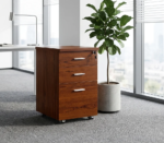 pedestal cabinet, pedestal cabinets, office pedestal cabinet, office pedestal, office storage pedestal, mobile pedestal cabinet, mobile pedestal, 3 drawer pedestal cabinet, 3 drawer pedestal, 2 drawer pedestal cabinet, 4 drawer pedestal cabinet, lockable pedestal cabinet, office drawer cabinet, office filing cabinet, office storage cabinet, office drawer unit, office storage drawers, under desk cabinet, under desk storage cabinet, office under desk storage, desk pedestal cabinet, desk side cabinet, office side cabinet, office mobile cabinet, office locker cabinet, office filing pedestal, filing pedestal cabinet, steel pedestal cabinet, metal pedestal cabinet, metallic pedestal cabinet, wooden pedestal cabinet, MDF pedestal cabinet, executive pedestal cabinet, modern pedestal cabinet, compact office cabinet, small office cabinet, office workstation cabinet, workstation pedestal, workstation storage cabinet, employee storage cabinet, staff storage cabinet, personal storage cabinet, document storage cabinet, file storage cabinet, office document cabinet, office file cabinet, lockable office cabinet, secure office cabinet, office cabinet with drawers, office cabinet with lock, office cabinet with key, office storage furniture, office furniture, office filing furniture, office organization cabinet, office organization furniture, workplace storage cabinet